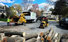 Reliable Pittsfield, MA Tree Services Solutions